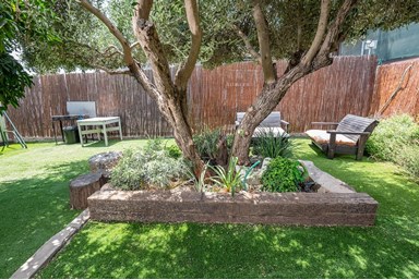 שובל לכנרת - החצר והבריכה