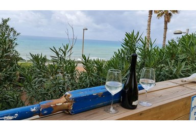 צאנז - סוויטה מול גלי הים