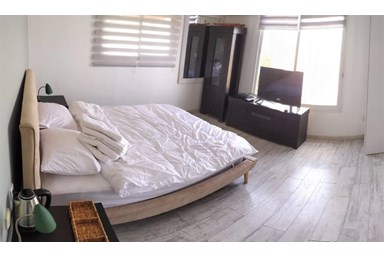 אוליבס ערד - Olives - ברנע