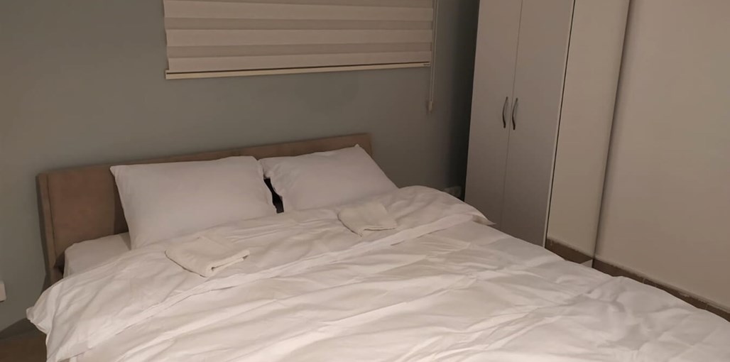 אוליבס ערד - Olives פיקואל (1).jpeg