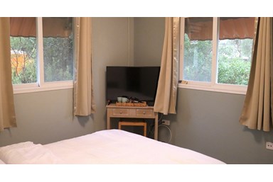 אוליבס ערד - Olives - נבאלי