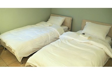 אוליבס ערד - Olives - מנזנילו