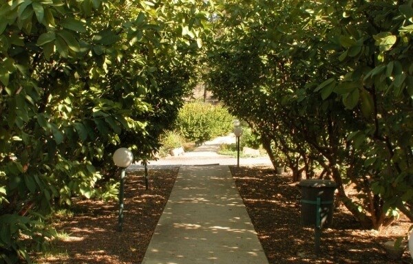 פונדק בכפר עמוד ראשי (1).jpg