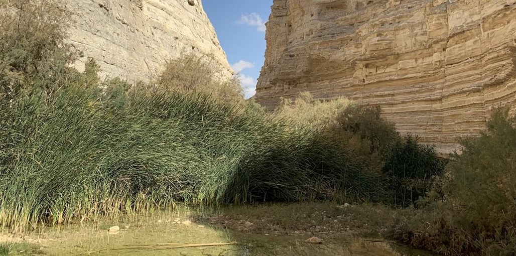 חאן אלסרה Alsira-Khan בסביבה (12).jpg