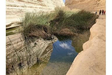 חאן אלסרה Alsira Khan