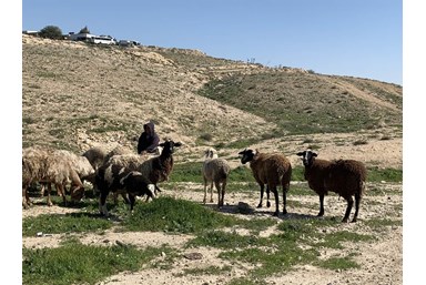 חאן אלסרה Alsira Khan - בסביבה