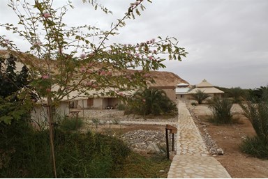 מואה נווה - מדבר