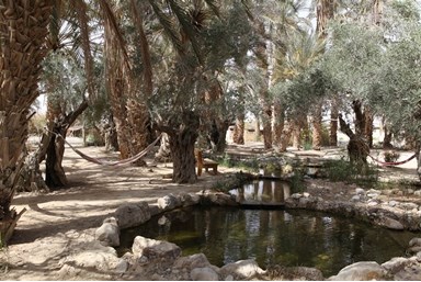 מואה נווה - מדבר