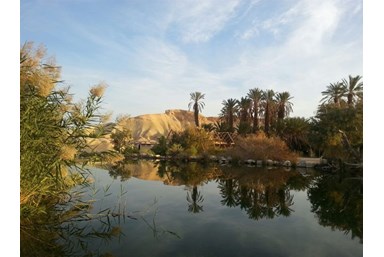 מואה נווה - מדבר