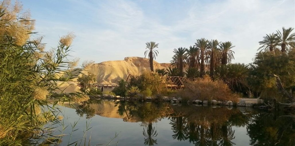 מואה נווה - מדבר IMG-20160428-WA0003.jpg