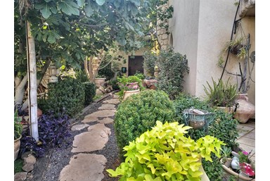 סוויטות בל - מתחם החוץ והנוף