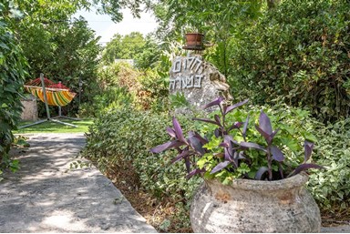 חלום במערה - החצר, הבריכה והג'קוזי 