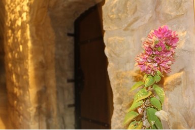 בית אם פארס - Beit Em Fares