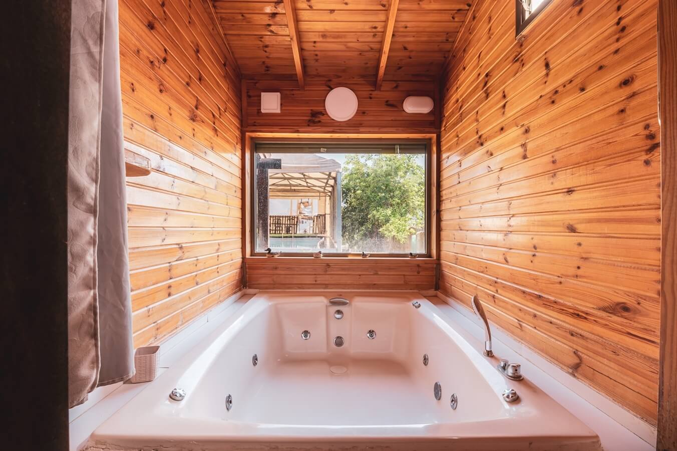 החזון של עדן