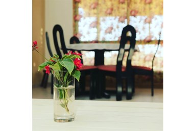 עינות קדם - צימר משפחתי בית במדבר