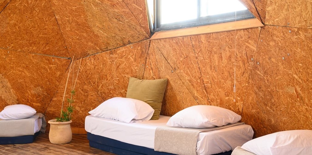 דיגידום ברותם TMR_4062_תומר_שלנגר_צלם.jpg