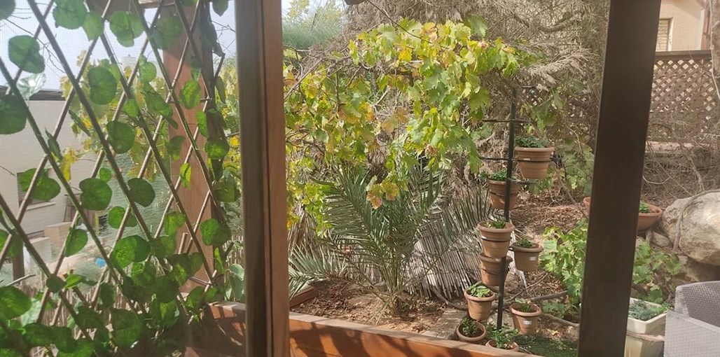 מדברה כעדן החצר והסביבה (16).jpg