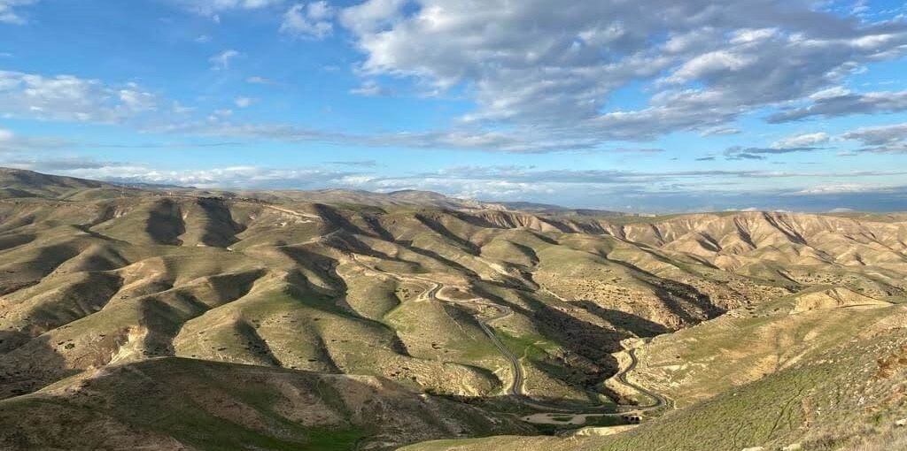 גפן במדבר File.jpg