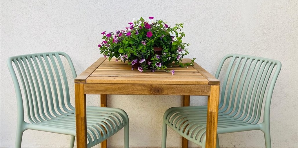 גפן במדבר WhatsApp Image 2025-04-16 at 15.38.07.jpeg