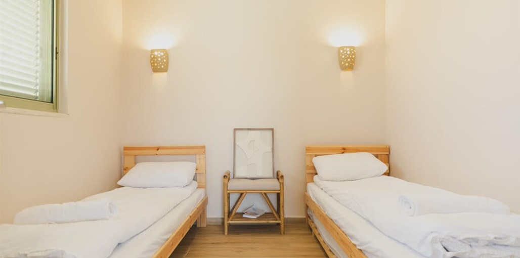 אלף כוכבים PHOTO-2025-03-16-12-57-49.jpg