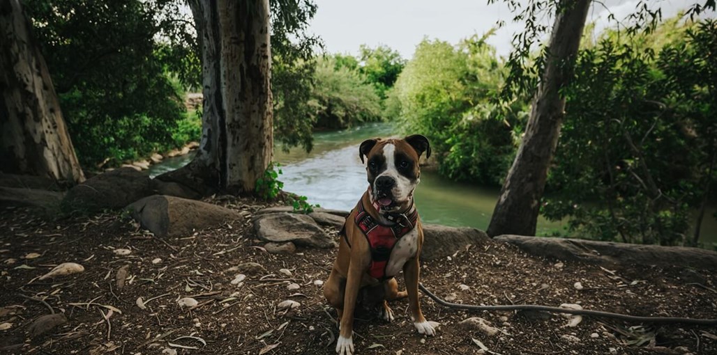 בין הפרדס לנחל סביבה (3).jpg