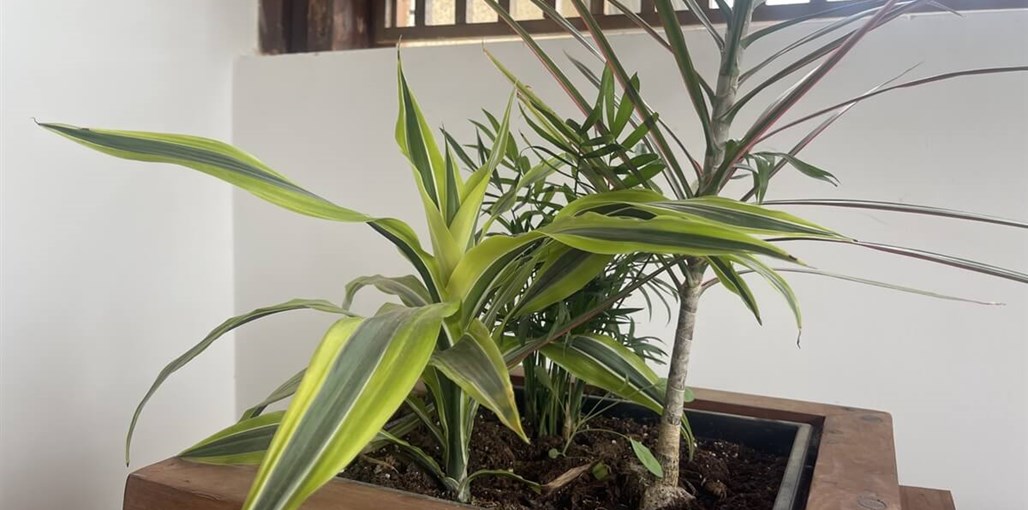 מול הים הכחול חדשות יולי 2022 (4).jpg