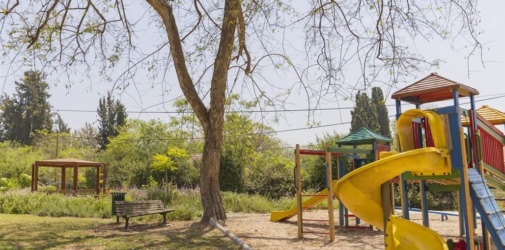 צימרים טל שחר צימר טל שחר - החצר והסביבה (8).jpg