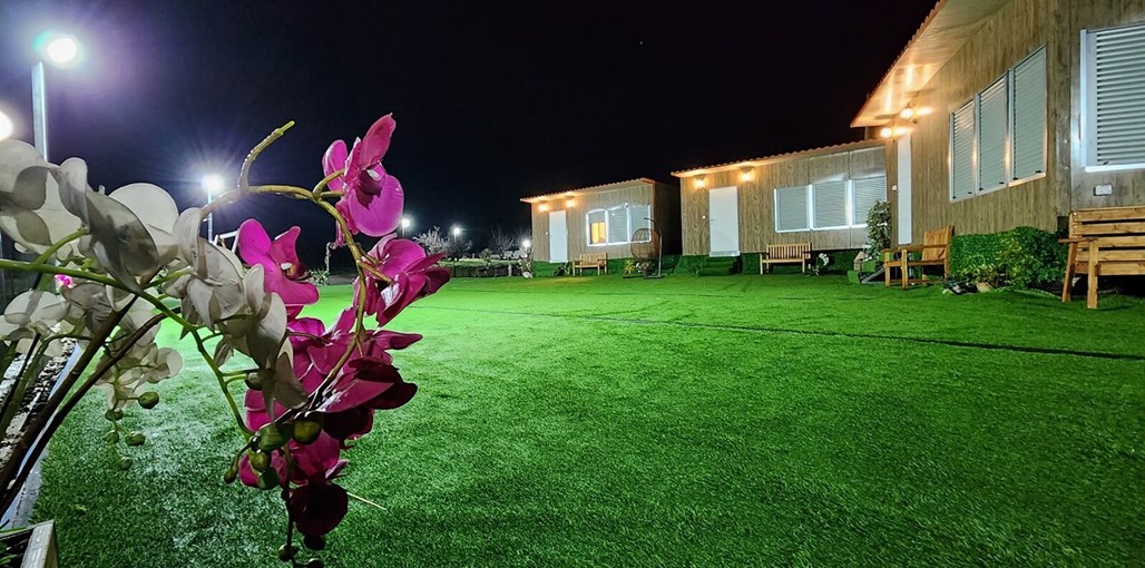 צימרים שביל הגולן חצר (2).jpg