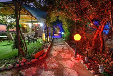 בקתות עץ המעיין