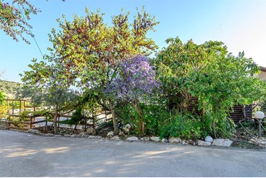 בקתות עץ המעיין - החצר והסביבה