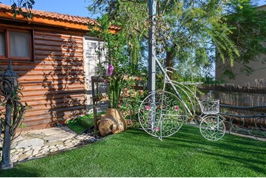 בקתות עץ המעיין - החצר והסביבה