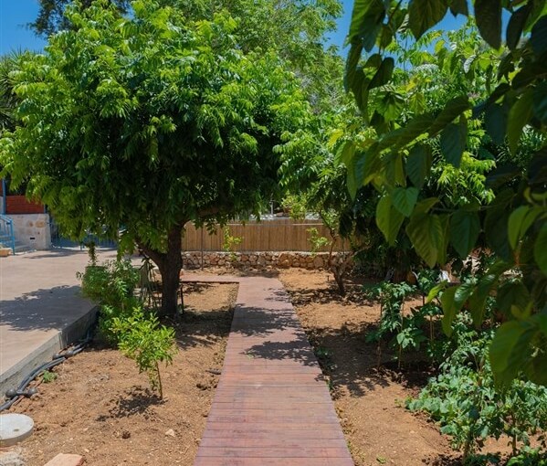 פרלה צימרים התות (11).jpg