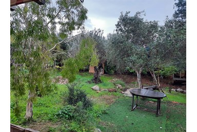 בית בטבע - עין הוד