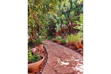 לב אמירים - לב אמירים