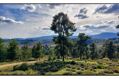 לב אמירים - קסם בגליל