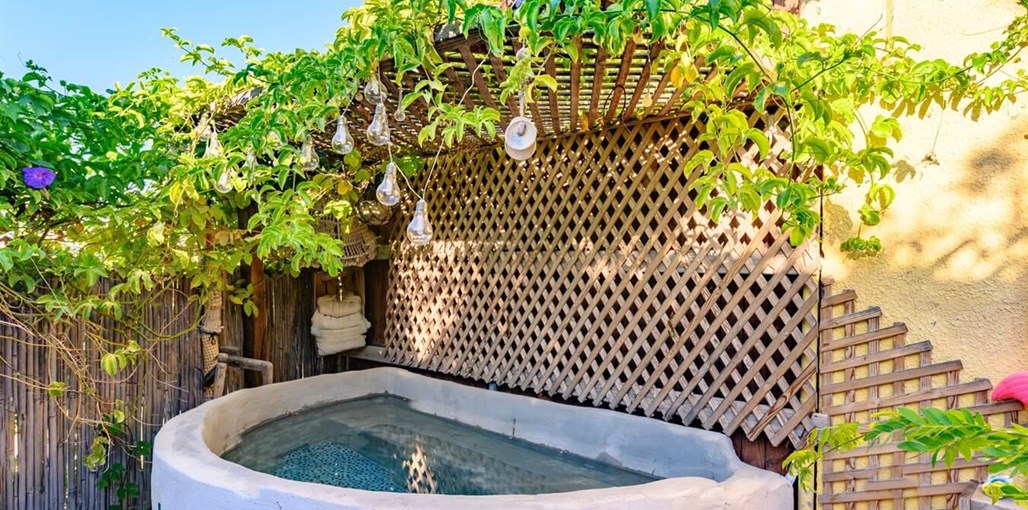 לויתן במדבר גינה וגג זולה (7).jpg