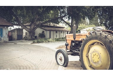 איילת השחר אירוח גלילי