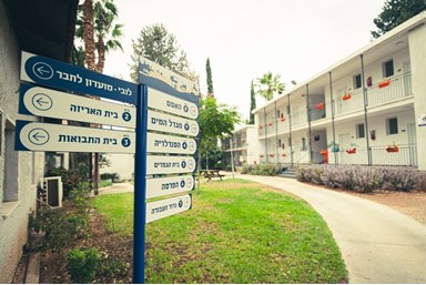 איילת השחר אירוח גלילי