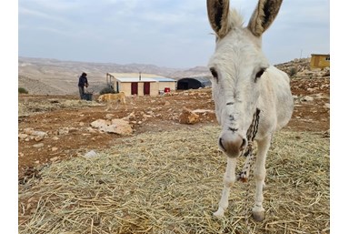 חאן ספר המדבר - אוהל האירוח