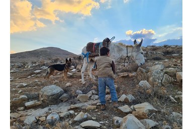 חאן ספר המדבר