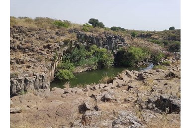 סוויטות נוף השחר - החצר והבריכה