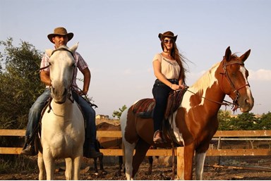 סוויטות נוף השחר - החצר והבריכה