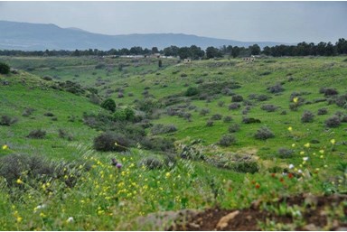 סוויטות נוף השחר - החצר והבריכה