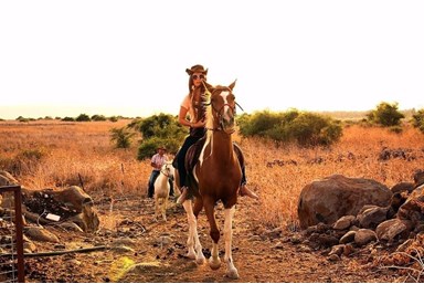 סוויטות נוף השחר - החצר והבריכה