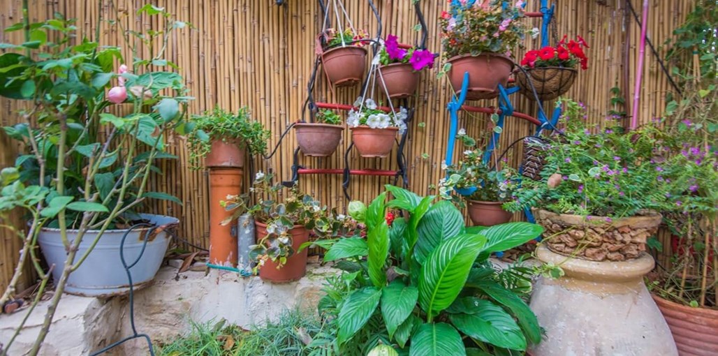 פארמר סוויט LOVE (30).jpg