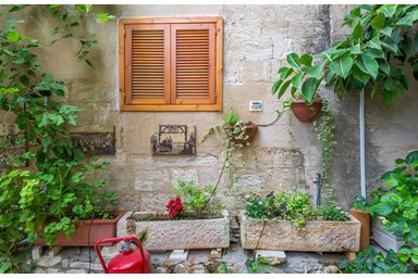 פארמר סוויט