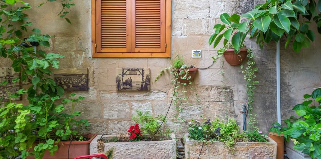 פארמר סוויט LOVE (24).jpg