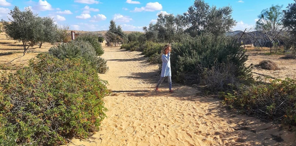 חאן שירת המדבר צמחייה.jpeg