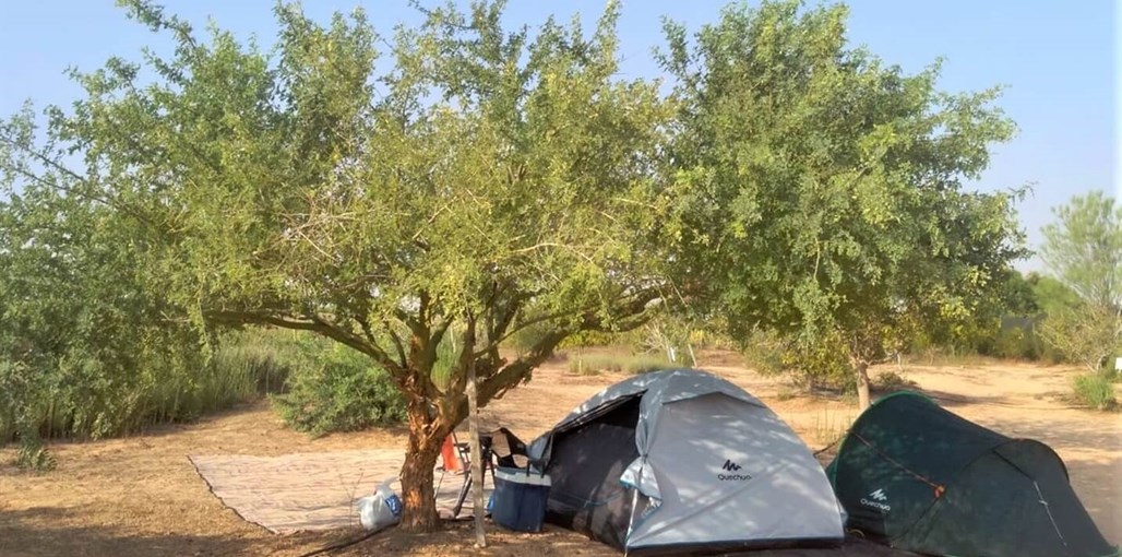 חאן שירת המדבר קמפינג (1).jpeg