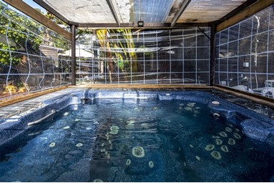 לאונרדו בטבע